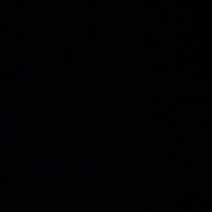 Meet your Posher, Bradley